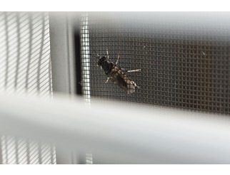 Mückennetz Moskito Fliegengitter 100 cm breit